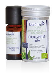 Huile essentielle Bio Eucalyptus Radiata 10 ml
